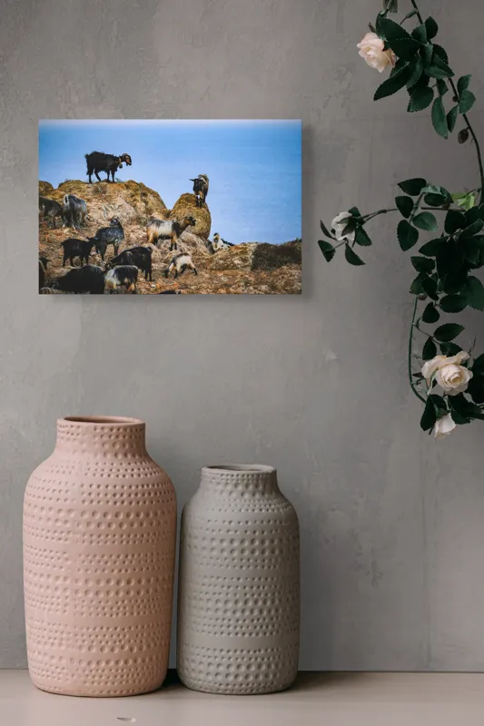 Tablou Canvas, "Capre pe stânci în fața mării", Capre, Pietre, Mare, Cer, Natura, Peisaj, Libertate, Aventura, 39 x 26 cm – poza 4