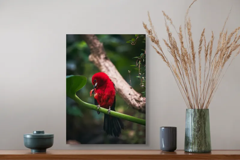 Tablou Canvas, "Frumusețea exotică în natură vibrantă", Roșu, Pasăre, Ramură, Frunze, Natură, Viu, Penaj, Exotic, Contrast, Verde, 39 x 54 cm – poza 3