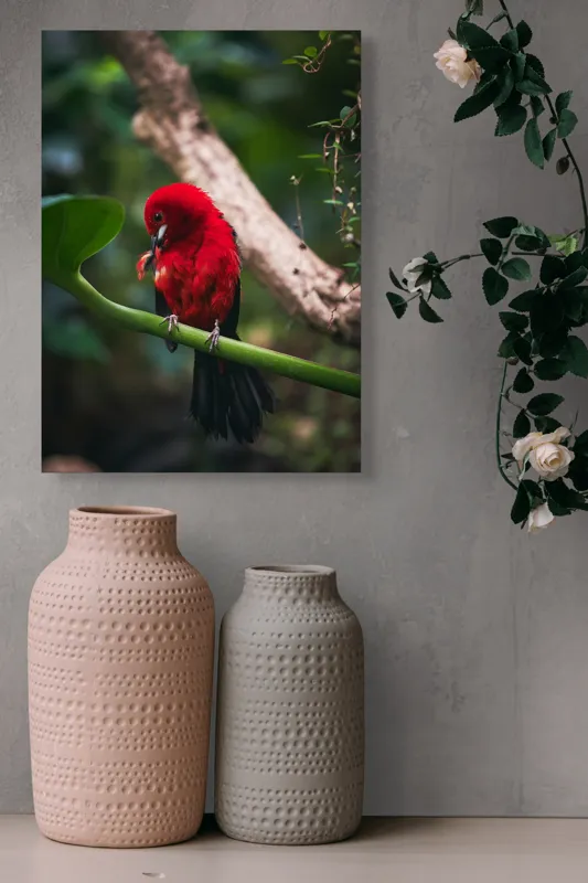 Tablou Canvas, "Frumusețea exotică în natură vibrantă", Roșu, Pasăre, Ramură, Frunze, Natură, Viu, Penaj, Exotic, Contrast, Verde, 39 x 54 cm – poza 6