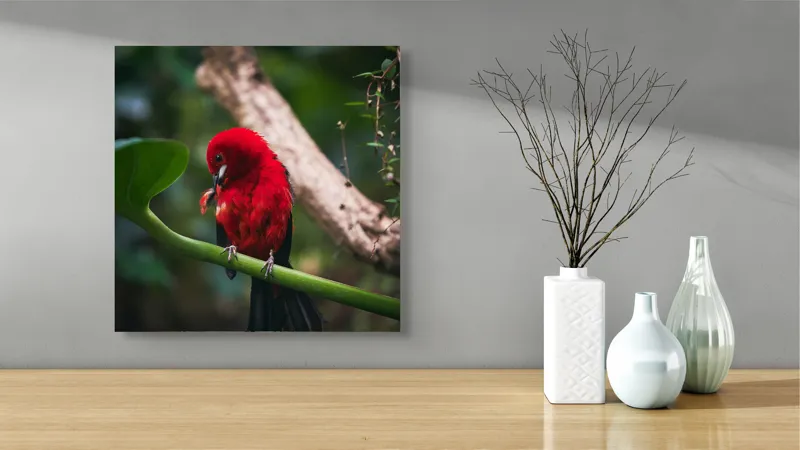 Tablou Canvas, "Frumusețea exotică în natură vibrantă", Roșu, Pasăre, Ramură, Frunze, Natură, Viu, Penaj, Exotic, Contrast, Verde, 50 x 50 cm – poza 3