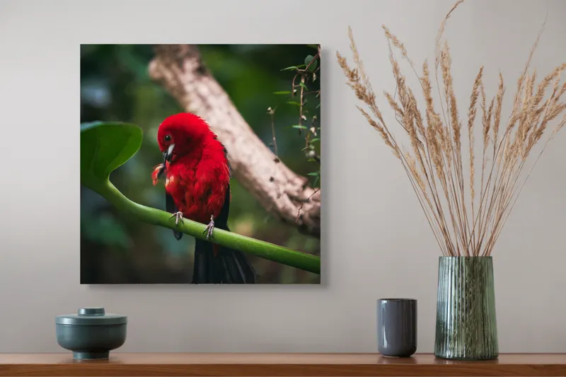 Tablou Canvas, "Frumusețea exotică în natură vibrantă", Roșu, Pasăre, Ramură, Frunze, Natură, Viu, Penaj, Exotic, Contrast, Verde, 50 x 50 cm – poza 4