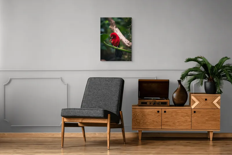 Tablou Canvas, "Frumusețea exotică în natură vibrantă", Roșu, Pasăre, Ramură, Frunze, Natură, Viu, Penaj, Exotic, Contrast, Verde, 50 x 70 cm – poza 8