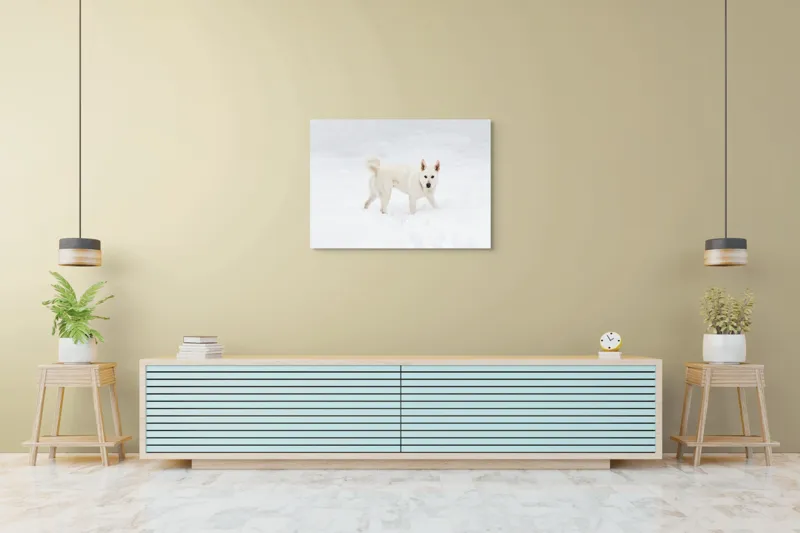 Tablou Canvas, "Câine alb pe zăpadă pură", Câine, Zăpadă, Alb, Iarnă, Peisaj, Frig, Jucăuș, Blană, Urechi, Coadă., 100 x 70 cm – poza 4