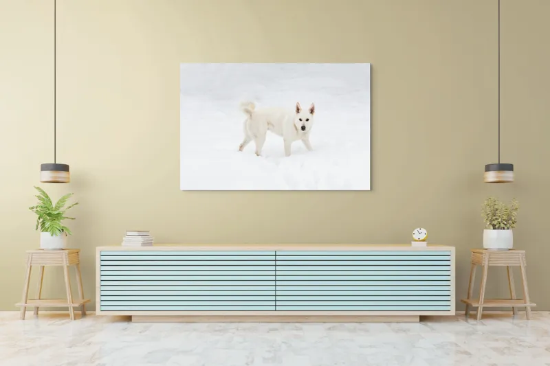 Tablou Canvas, "Câine alb pe zăpadă pură", Câine, Zăpadă, Alb, Iarnă, Peisaj, Frig, Jucăuș, Blană, Urechi, Coadă., 150 x 100 cm – poza 6