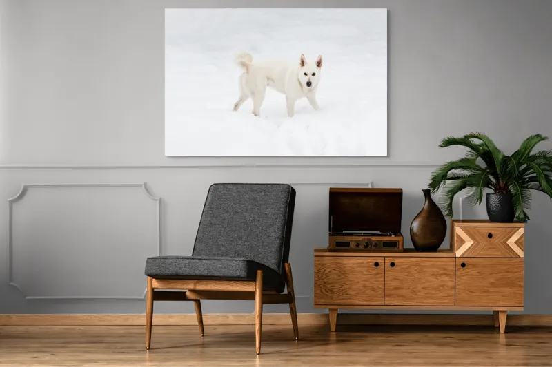 Tablou Canvas, "Câine alb pe zăpadă pură", Câine, Zăpadă, Alb, Iarnă, Peisaj, Frig, Jucăuș, Blană, Urechi, Coadă., 150 x 100 cm – poza 8