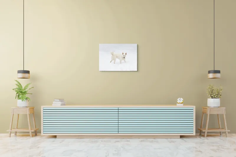 Tablou Canvas, "Câine alb pe zăpadă pură", Câine, Zăpadă, Alb, Iarnă, Peisaj, Frig, Jucăuș, Blană, Urechi, Coadă., 70 x 50 cm – poza 7