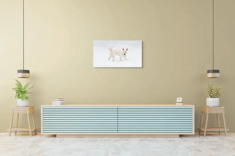 Tablou Canvas, "Câine alb pe zăpadă pură", Câine, Zăpadă, Alb, Iarnă, Peisaj, Frig, Jucăuș, Blană, Urechi, Coadă., 90 x 50 cm – poza 5