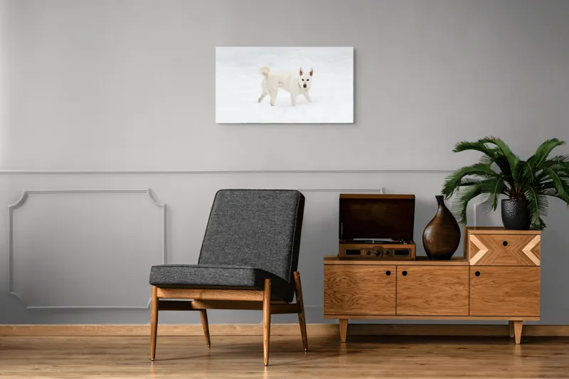 Tablou Canvas, "Câine alb pe zăpadă pură", Câine, Zăpadă, Alb, Iarnă, Peisaj, Frig, Jucăuș, Blană, Urechi, Coadă., 90 x 50 cm – poza 6