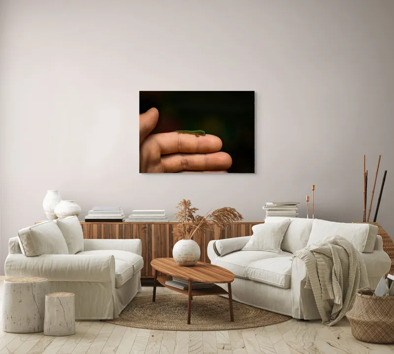 Tablou Canvas, "Șopârla pe degetul protectorului său", Mic, Gecko, Fragil, Verde, Mână, Delicat, Contrast, Natură, 100 x 70 cm – poza 3
