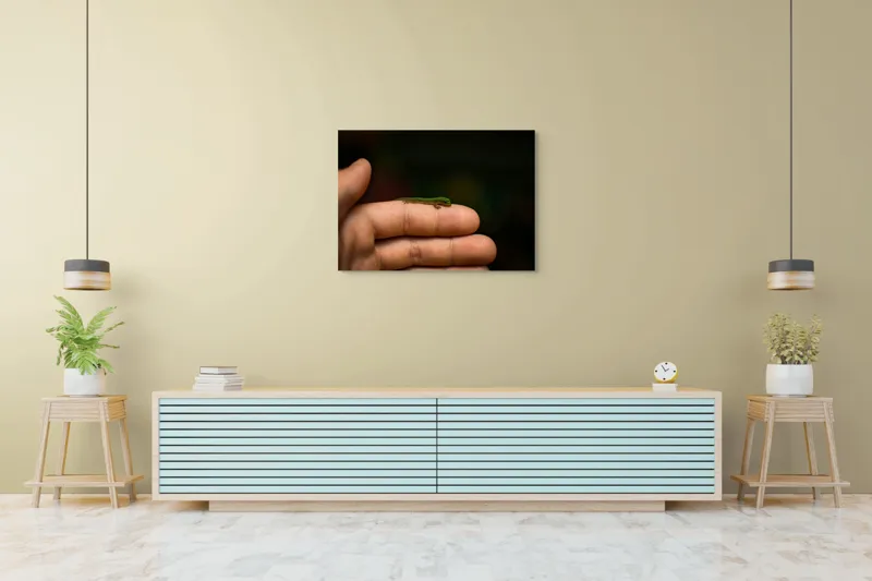 Tablou Canvas, "Șopârla pe degetul protectorului său", Mic, Gecko, Fragil, Verde, Mână, Delicat, Contrast, Natură, 100 x 70 cm – poza 4