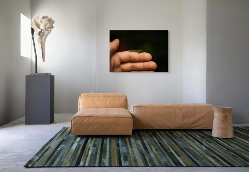 Tablou Canvas, "Șopârla pe degetul protectorului său", Mic, Gecko, Fragil, Verde, Mână, Delicat, Contrast, Natură, 100 x 70 cm – poza 7