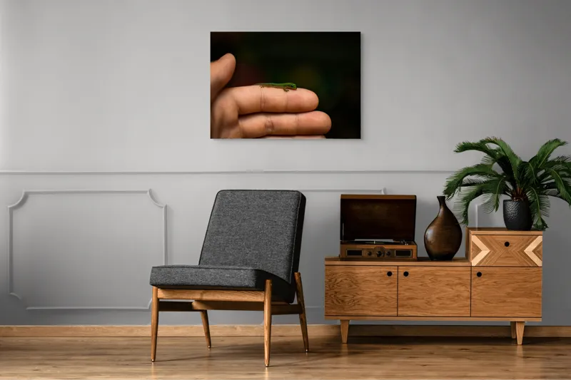 Tablou Canvas, "Șopârla pe degetul protectorului său", Mic, Gecko, Fragil, Verde, Mână, Delicat, Contrast, Natură, 100 x 70 cm – poza 8
