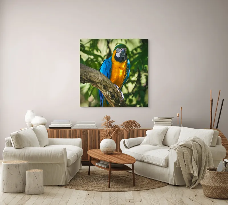 Tablou Canvas, "Papagalul albastru în razele soarelui", Penaj, Exotic, Strălucitor, Colorat, Păsăre, Natură, Verdeață, Ramură, 100 x 100 cm – poza 3