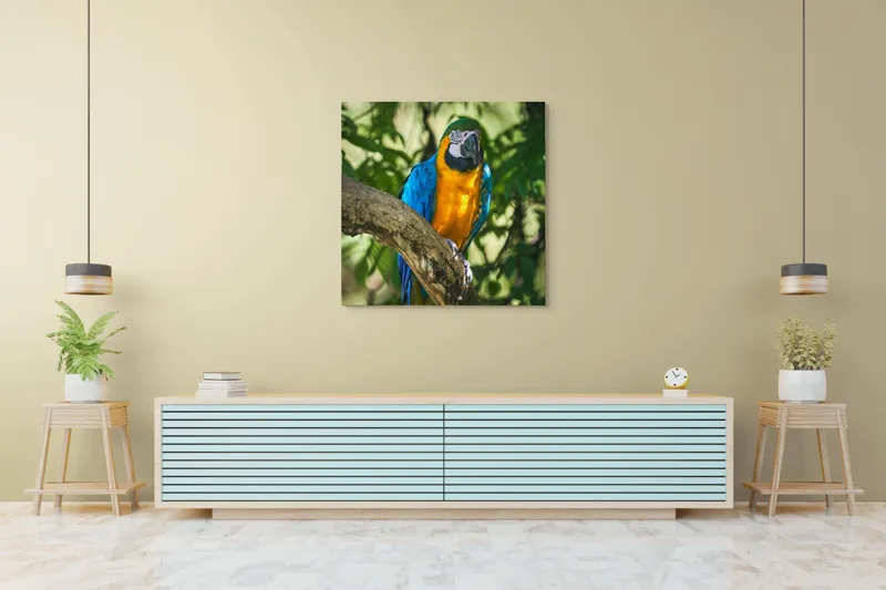 Tablou Canvas, "Papagalul albastru în razele soarelui", Penaj, Exotic, Strălucitor, Colorat, Păsăre, Natură, Verdeață, Ramură, 100 x 100 cm – poza 5