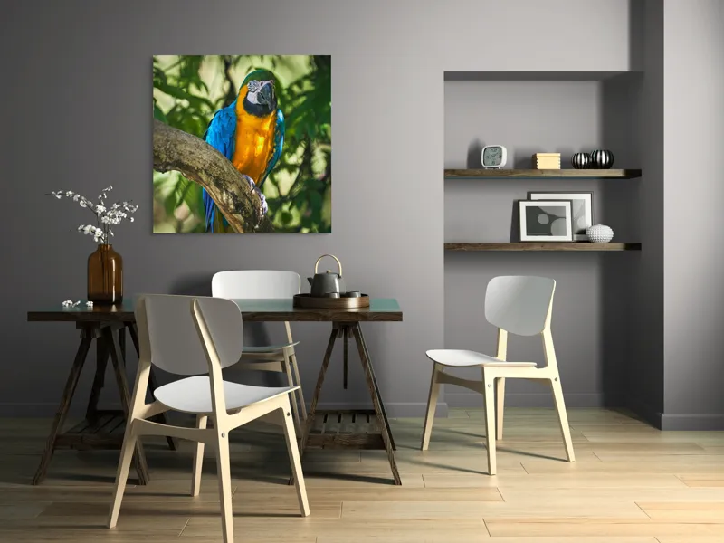 Tablou Canvas, "Papagalul albastru în razele soarelui", Penaj, Exotic, Strălucitor, Colorat, Păsăre, Natură, Verdeață, Ramură, 100 x 100 cm – poza 6
