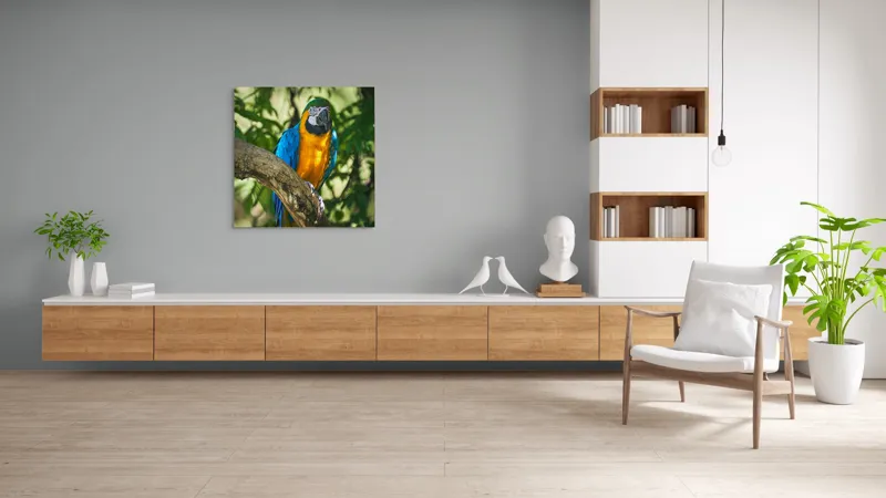 Tablou Canvas, "Papagalul albastru în razele soarelui", Penaj, Exotic, Strălucitor, Colorat, Păsăre, Natură, Verdeață, Ramură, 100 x 100 cm – poza 8