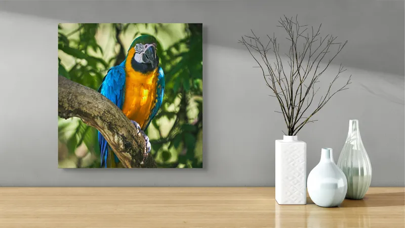 Tablou Canvas, "Papagalul albastru în razele soarelui", Penaj, Exotic, Strălucitor, Colorat, Păsăre, Natură, Verdeață, Ramură, 50 x 50 cm – poza 3