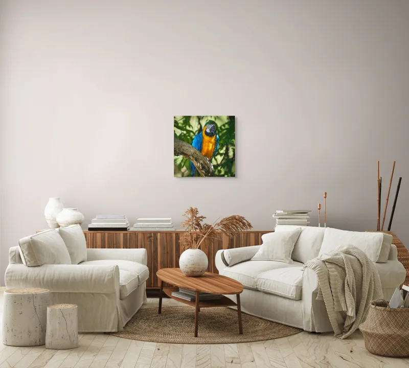 Tablou Canvas, "Papagalul albastru în razele soarelui", Penaj, Exotic, Strălucitor, Colorat, Păsăre, Natură, Verdeață, Ramură, 50 x 50 cm – poza 7