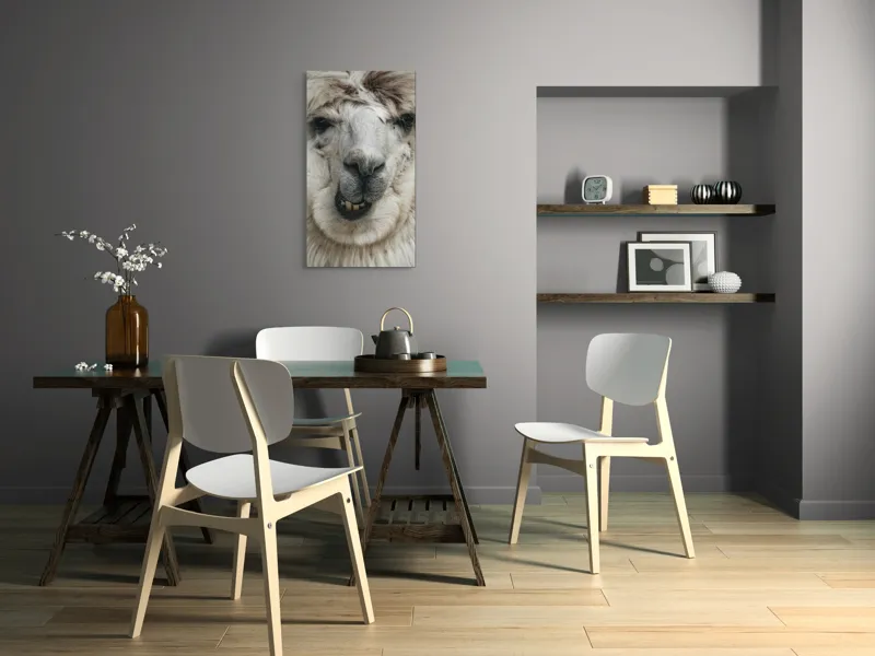 Tablou Canvas, "Întâlnire cu lama zâmbitoare", Lână, Alb, Zâmbet, Blană, Moale, Ochii, Față, Nas, Dinți, Expresie, 50 x 90 cm – poza 4