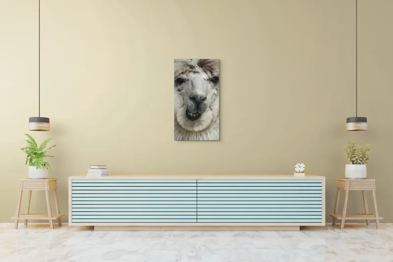 Tablou Canvas, "Întâlnire cu lama zâmbitoare", Lână, Alb, Zâmbet, Blană, Moale, Ochii, Față, Nas, Dinți, Expresie, 50 x 90 cm – poza 6