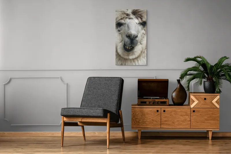 Tablou Canvas, "Întâlnire cu lama zâmbitoare", Lână, Alb, Zâmbet, Blană, Moale, Ochii, Față, Nas, Dinți, Expresie, 50 x 90 cm – poza 8