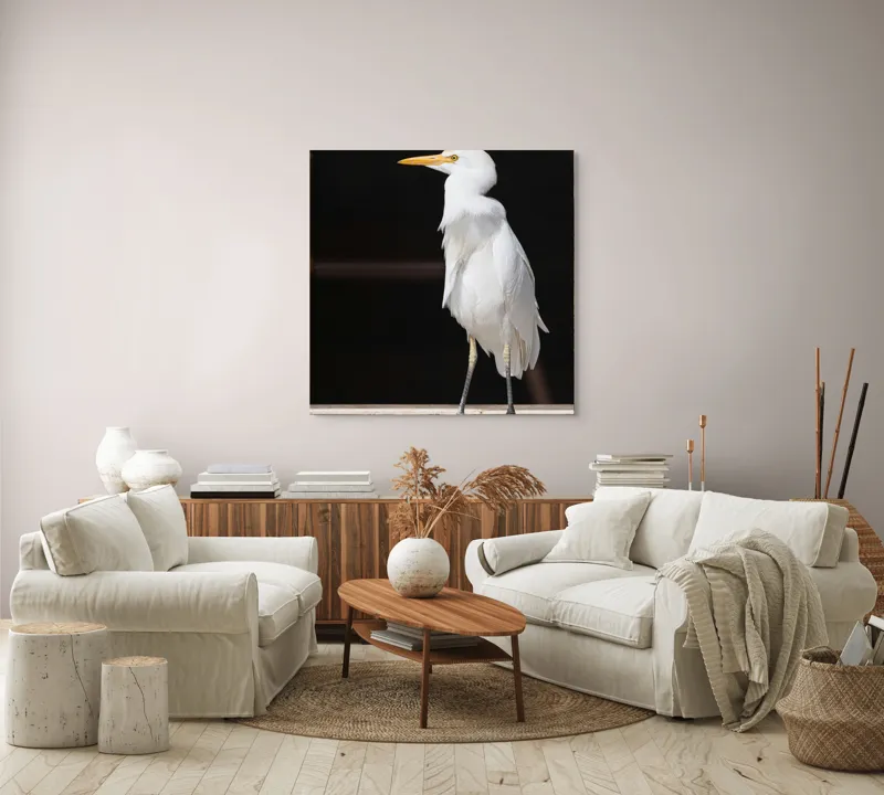 Tablou Canvas, "Egreta în lumina dimineții senine", 100 x 100 cm – poza 3