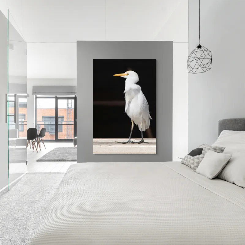 Tablou Canvas, "Egreta în lumina dimineții senine", 100 x 150 cm – poza 5