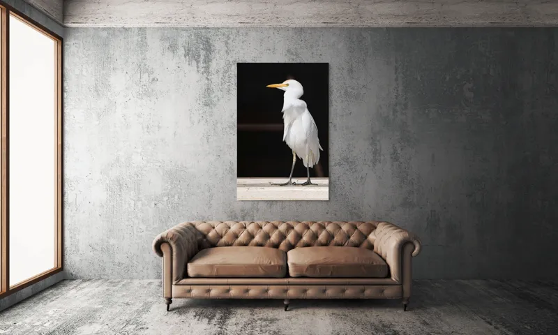 Tablou Canvas, "Egreta în lumina dimineții senine", 100 x 150 cm – poza 6