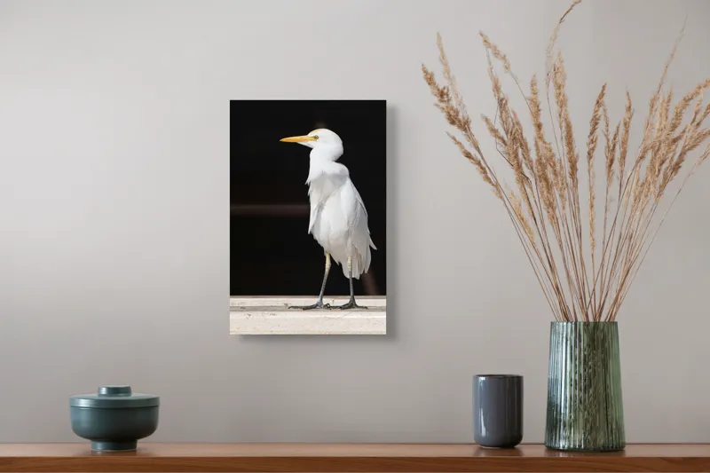 Tablou Canvas, "Egreta în lumina dimineții senine", 26 x 39 cm – poza 5