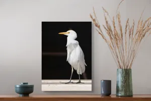 Tablou Canvas, "Egreta în lumina dimineții senine", 39 x 54 cm – poza 3