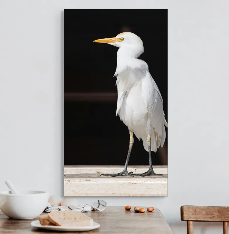 Tablou Canvas, "Egreta în lumina dimineții senine", 50 x 90 cm – poza 3
