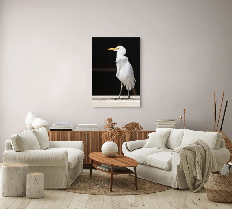 Tablou Canvas, "Egreta în lumina dimineții senine", 70 x 100 cm – poza 4