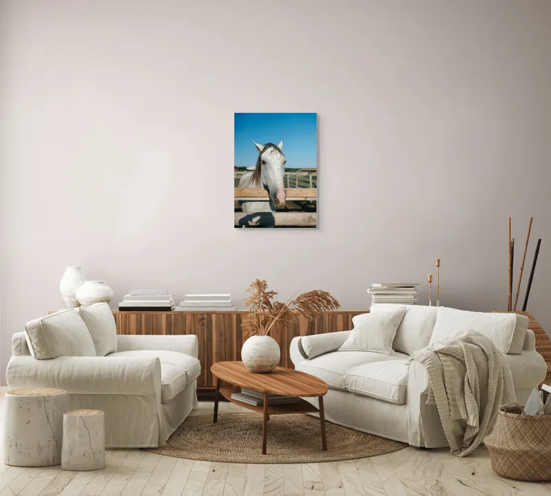 Tablou Canvas, "Cal alb la marginea țarcului", Cal, Alb, Gard, Cer, Albastru, Fermă, Soare, Zâmbet, Blând., 50 x 70 cm – poza 4
