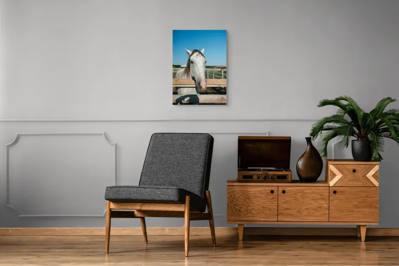 Tablou Canvas, "Cal alb la marginea țarcului", Cal, Alb, Gard, Cer, Albastru, Fermă, Soare, Zâmbet, Blând., 50 x 70 cm – poza 8