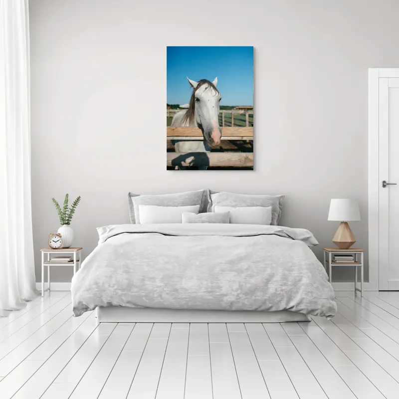 Tablou Canvas, "Cal alb la marginea țarcului", Cal, Alb, Gard, Cer, Albastru, Fermă, Soare, Zâmbet, Blând., 70 x 100 cm – poza 3