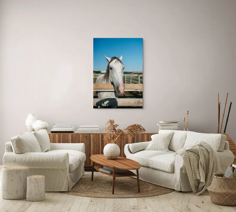Tablou Canvas, "Cal alb la marginea țarcului", Cal, Alb, Gard, Cer, Albastru, Fermă, Soare, Zâmbet, Blând., 70 x 100 cm – poza 4