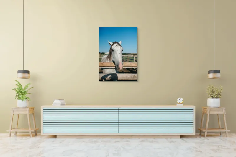 Tablou Canvas, "Cal alb la marginea țarcului", Cal, Alb, Gard, Cer, Albastru, Fermă, Soare, Zâmbet, Blând., 70 x 100 cm – poza 5
