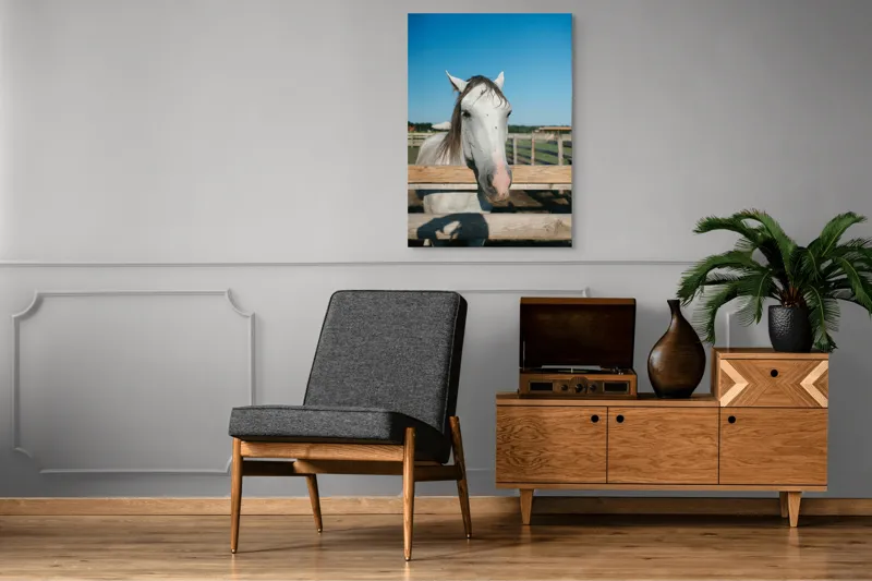 Tablou Canvas, "Cal alb la marginea țarcului", Cal, Alb, Gard, Cer, Albastru, Fermă, Soare, Zâmbet, Blând., 70 x 100 cm – poza 6