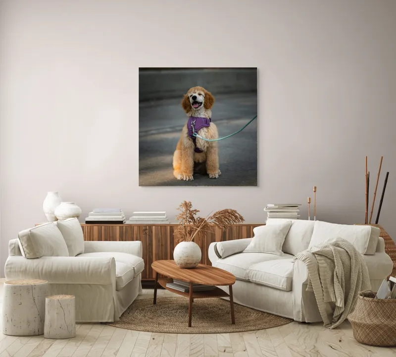 Tablou Canvas, "Cățeluș fericit în parc însorit", 100 x 100 cm – poza 3