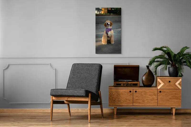 Tablou Canvas, "Cățeluș fericit în parc însorit", 50 x 90 cm – poza 8