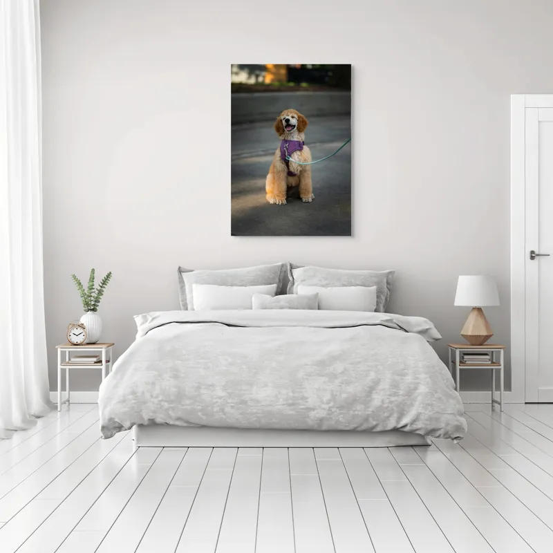 Tablou Canvas, "Cățeluș fericit în parc însorit", 70 x 100 cm – poza 3