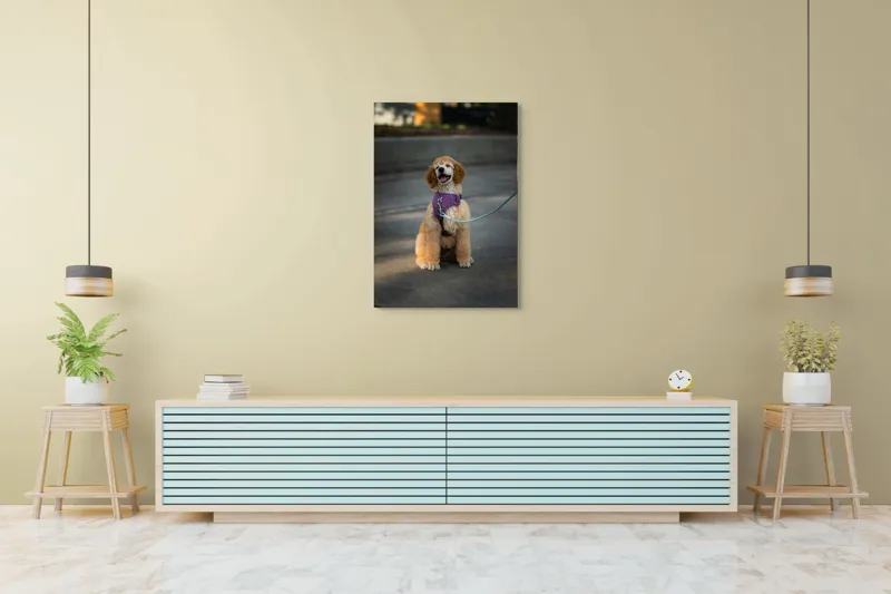 Tablou Canvas, "Cățeluș fericit în parc însorit", 70 x 100 cm – poza 5
