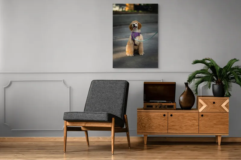 Tablou Canvas, "Cățeluș fericit în parc însorit", 70 x 100 cm – poza 6